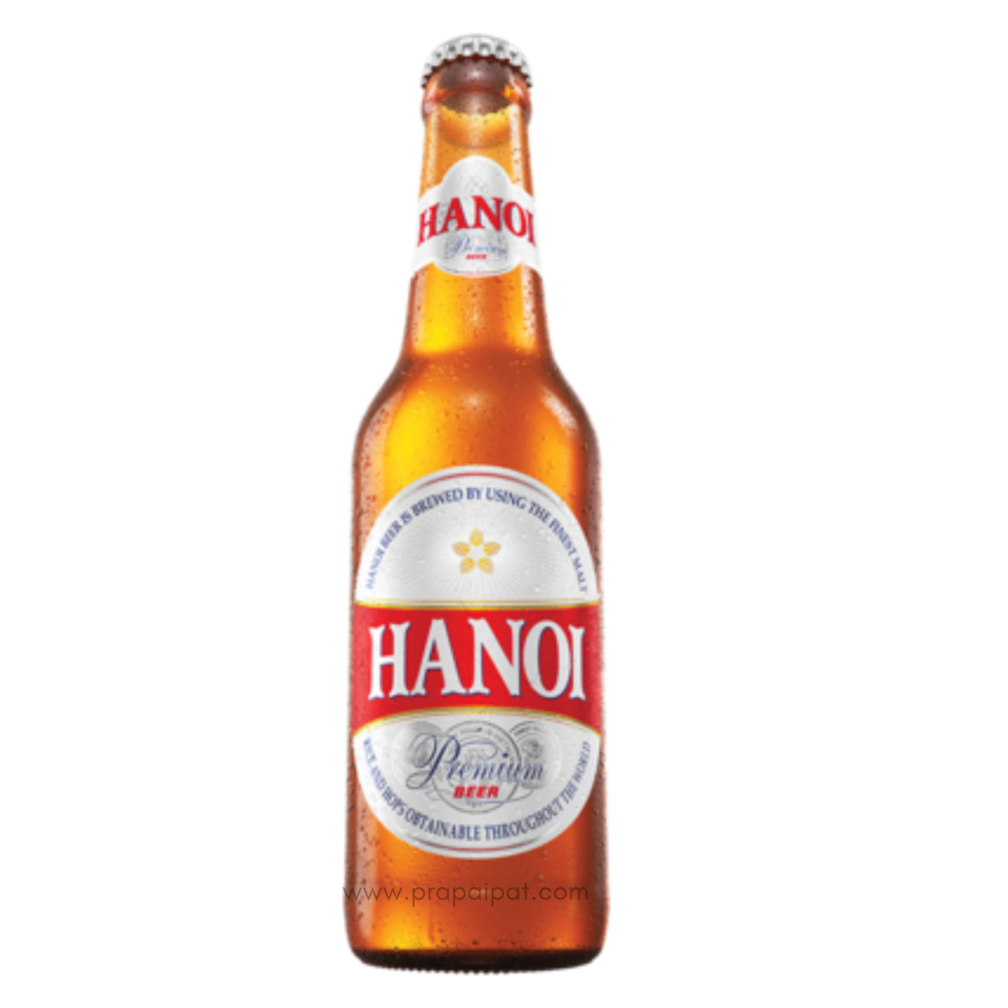 Hanoi Vietnam Bier 330 ml (inkl. 0,25 € DPG Pfand)