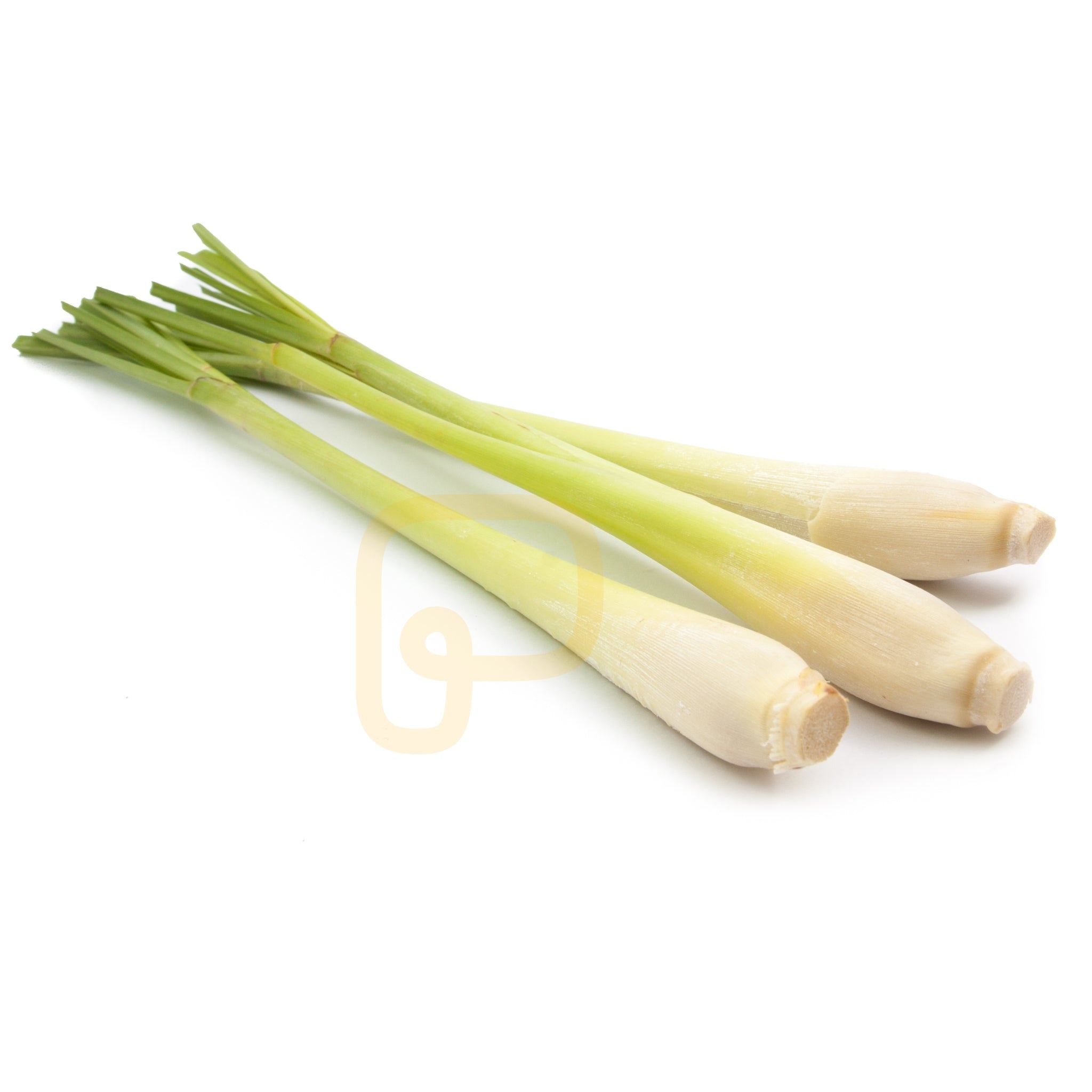 Lemon Grass Fresh 100 gram ตะไคร้สด