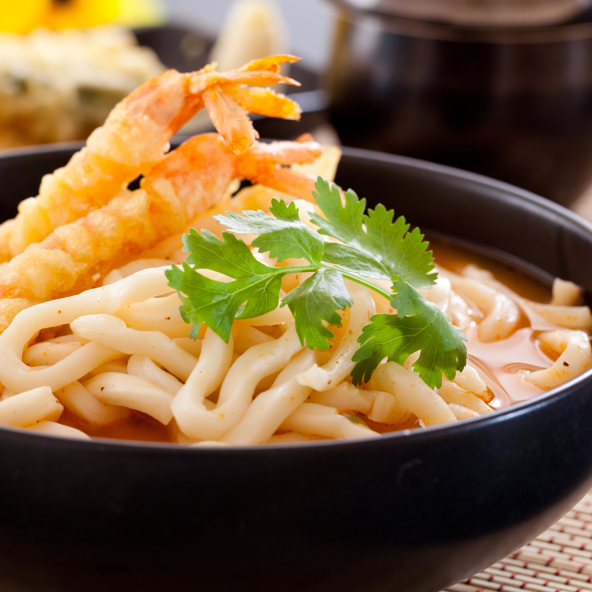 ALLGROO Udon Nudeln mit Meeresfrüchte Geschmack (3 Portionen-230g) 690 g