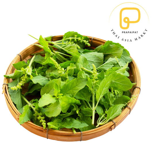 Thai Holy Basil / Basilikum Holy 100g (Kühlware) ใบ กะเพรา