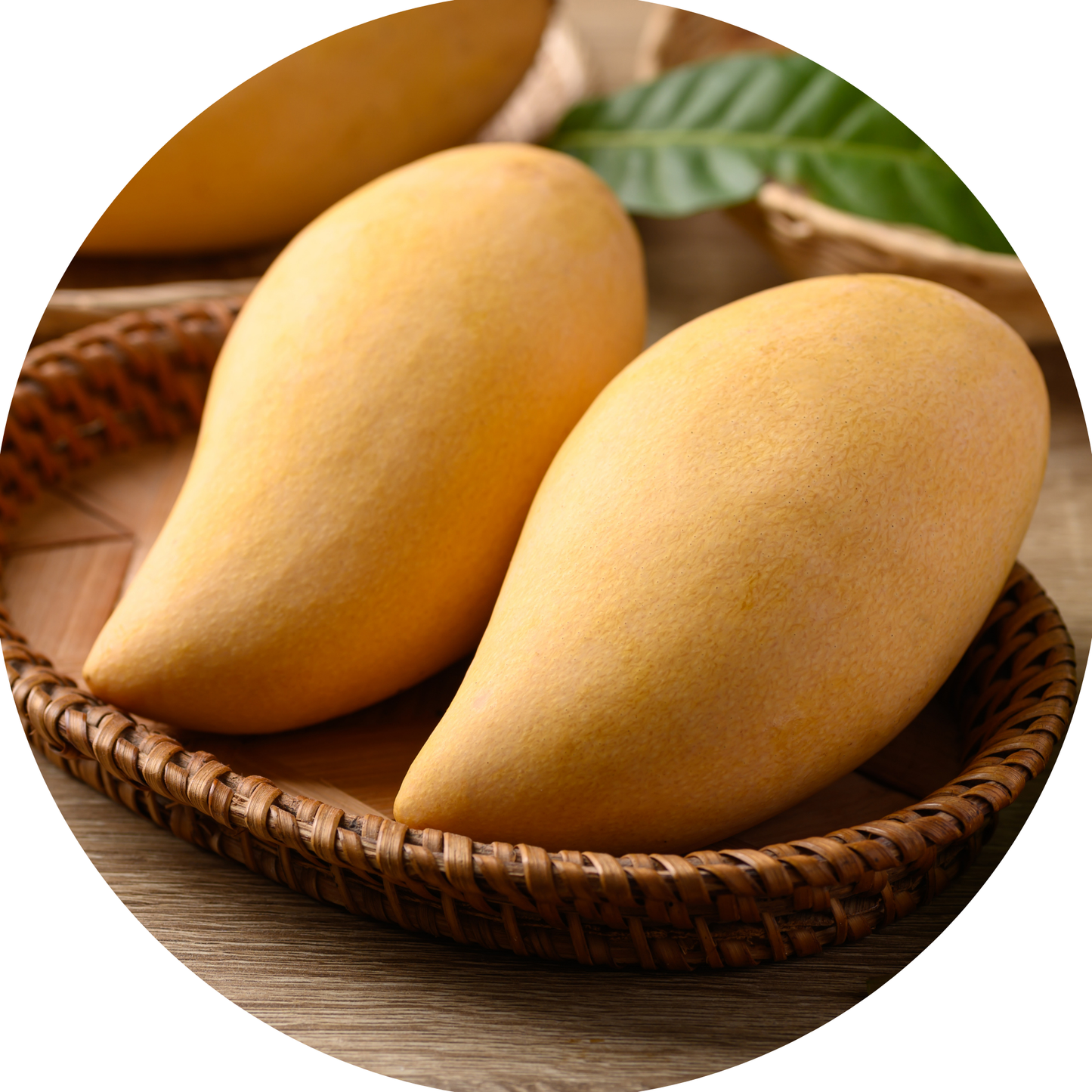 Nam Dok Mai Mango มะม่วงน้ำดอกไม้สุก (750-800 Gram)