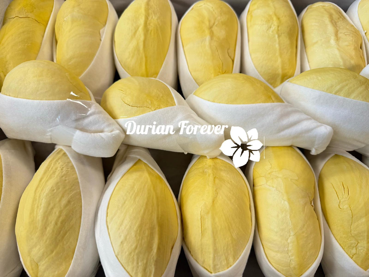 Premium Peeled Durian in Tray 500 g (Kühlware) ทุเรียน หมอนทอง ไทย พรีเมี่ยม