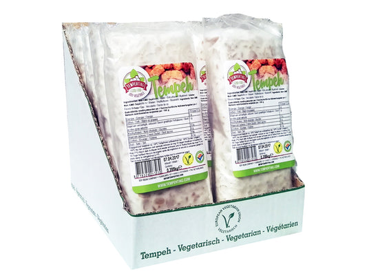 Tempeh Tempething 1X 395 Gram ❄️📍📌 Tiefkühlprodukt เทมเป้ ถั่วเหลือง