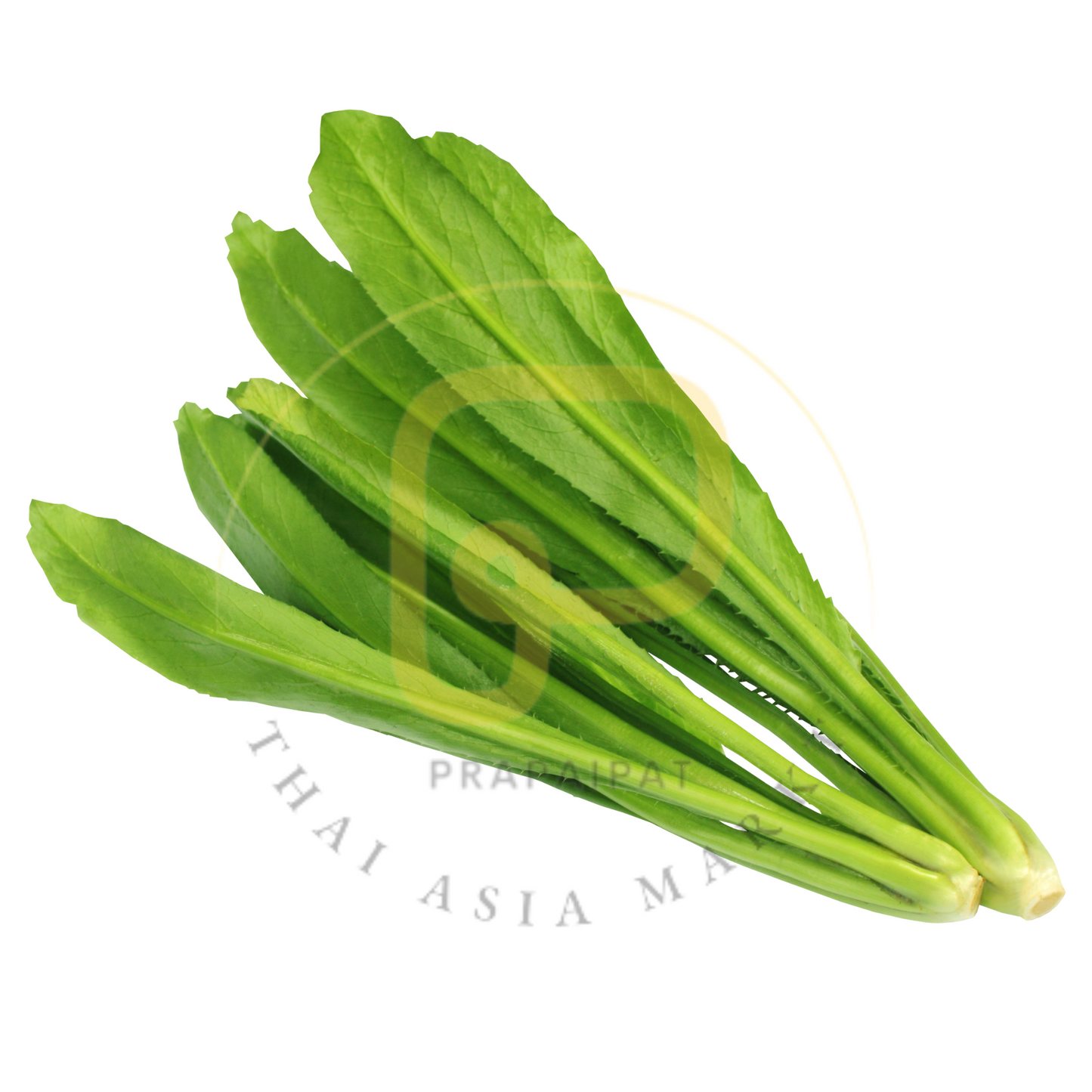 Petersilie / Fresh Europagras Parsley 100 gram ผักชีฝรั่ง ผักชีใบเลื่อย