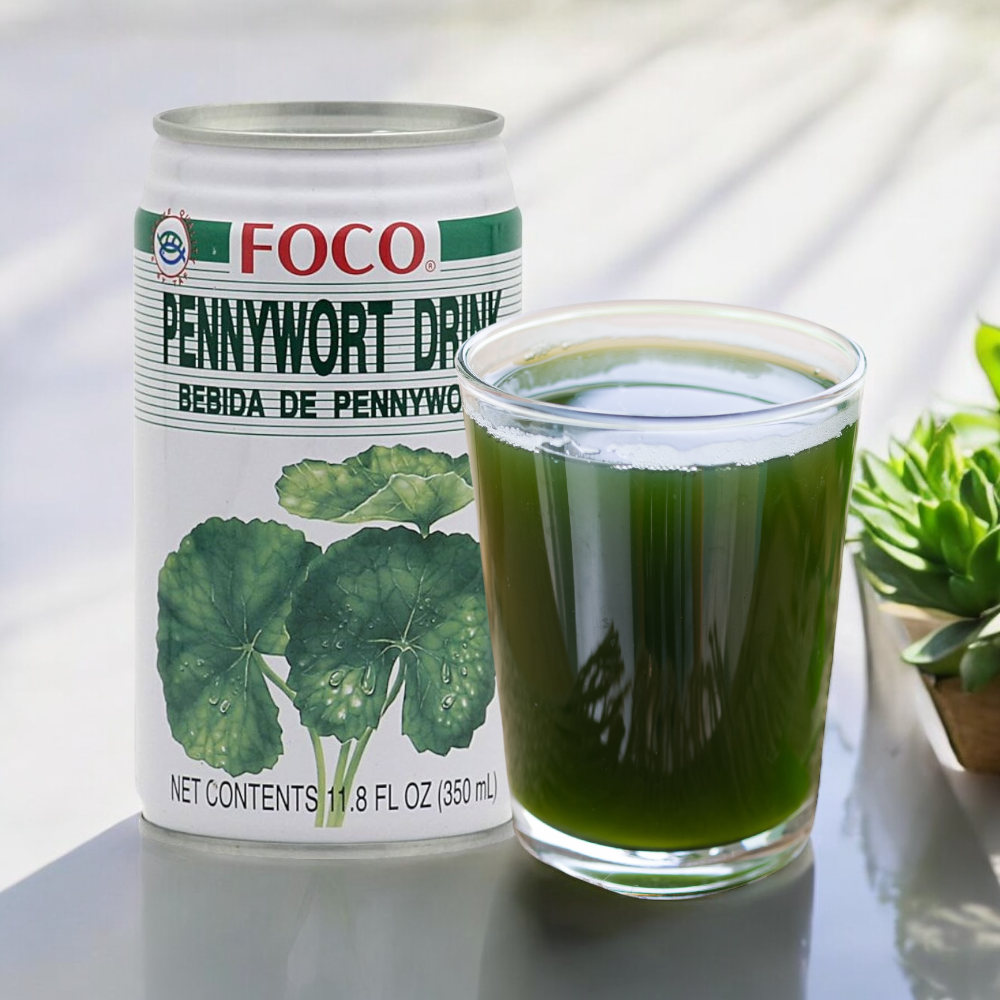 FOCO - Pennywort Getränk 350 ml น้ำ ใบบัวบก (inkl. 0,25 € DPG Pfand)