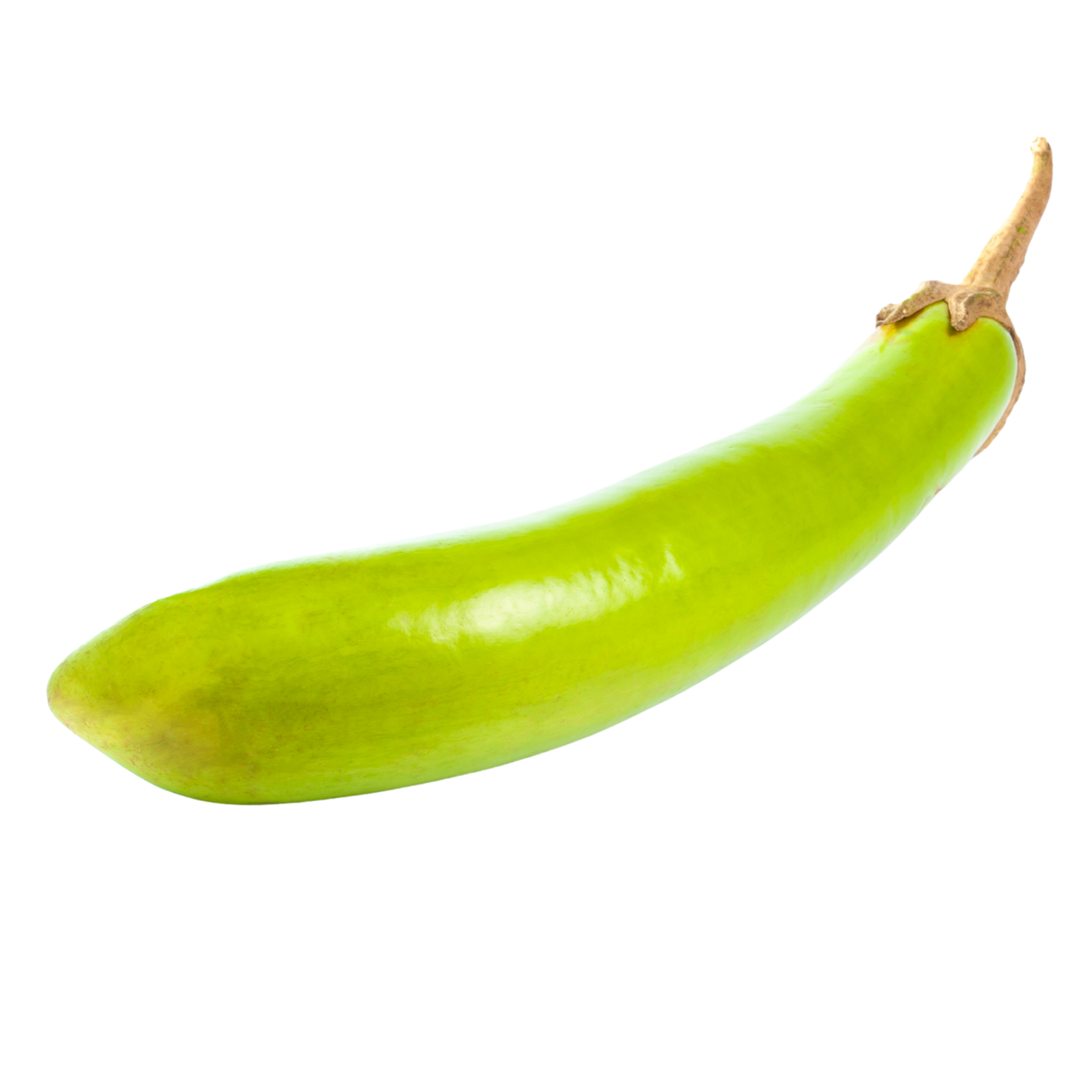 มะเขือยาวไทย 400-500 กรัม