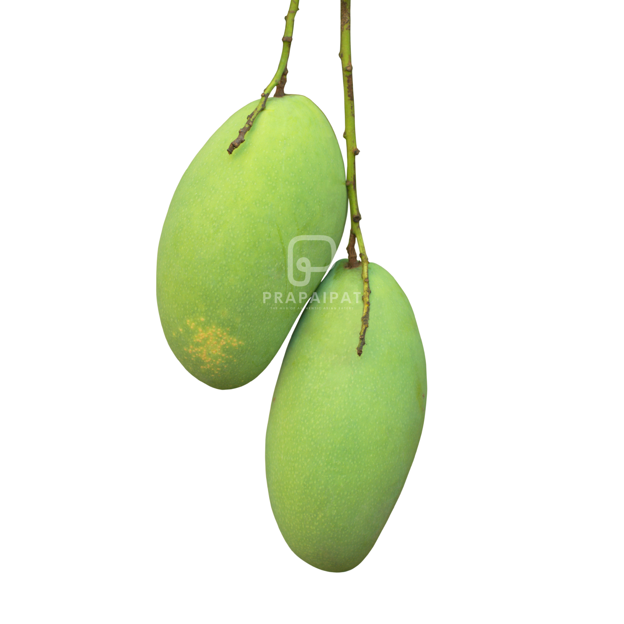 Green Mango Sour Big มะม่วงเปรี้ยว 400-500 €