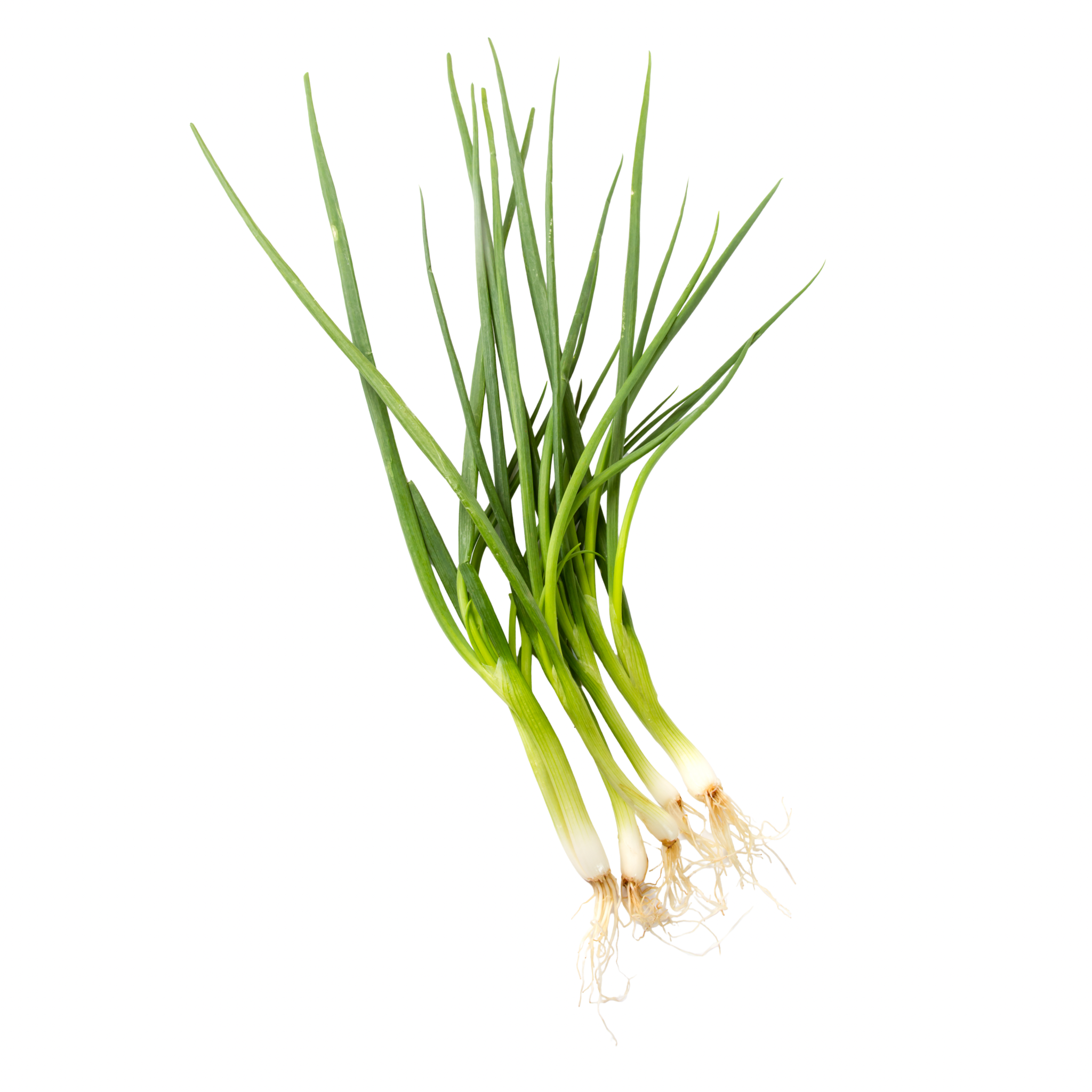 Thai Spring Onion ต้นหอมไทย 100 g