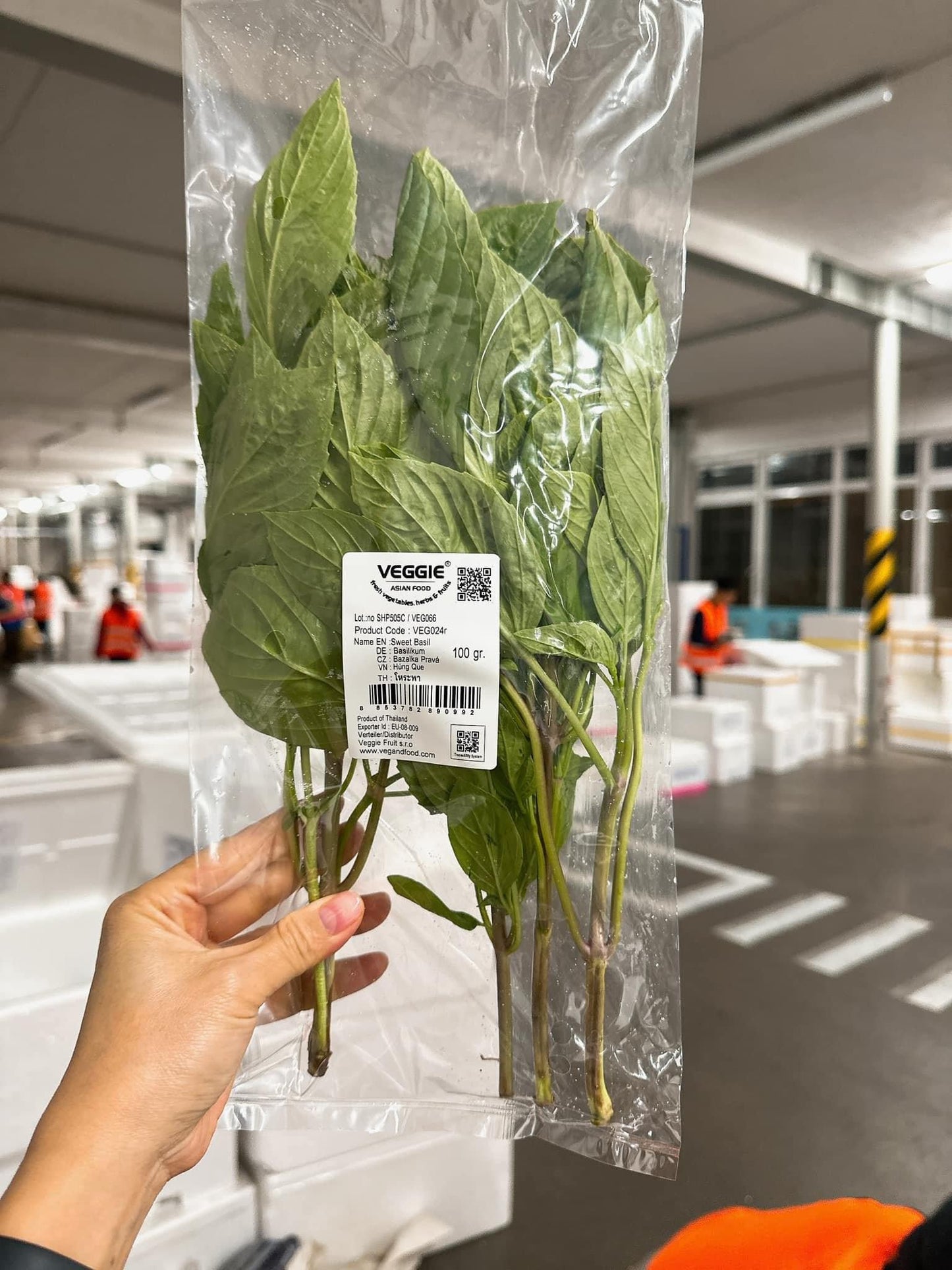 Sweet Basil Holapa / Basilikumblätter 100 g (Kühlware) โหระพา