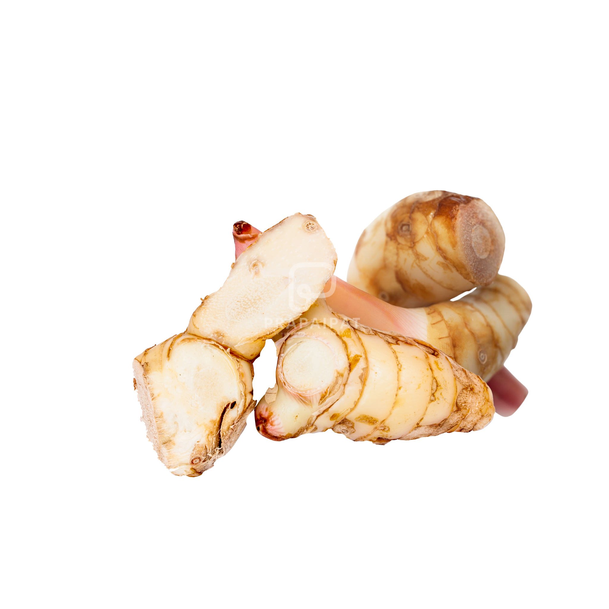 Young Galangal 100 g ข่าสด