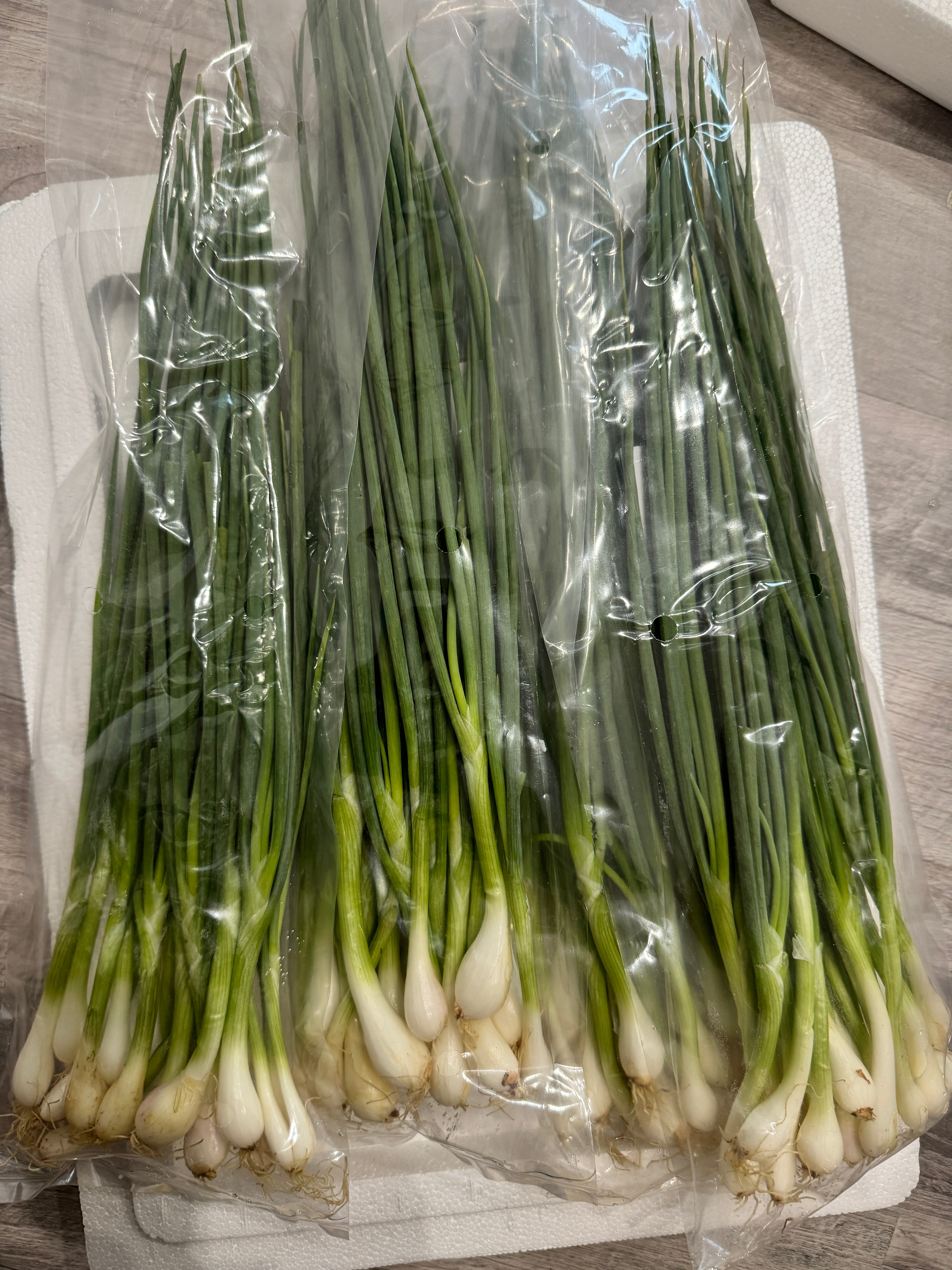 Thai Spring Onion ต้นหอมไทย 100 grams
