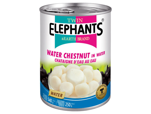 Wasserkastanien in Wasser Twin Elephants 540 g แห้วกระป๋อง