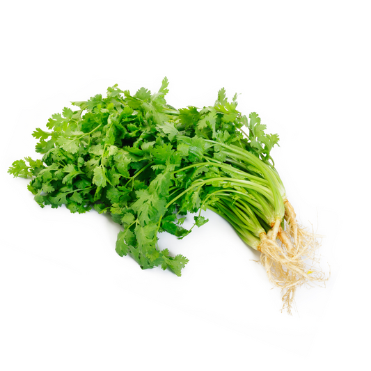Thailändische Koriander mit Wurzel (Kühlware) ผักชีไทย 100 g กรัม