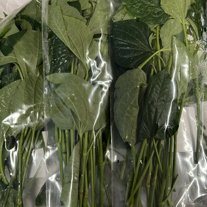 Cha Plu Leaves 100 grams ใบชะพลู