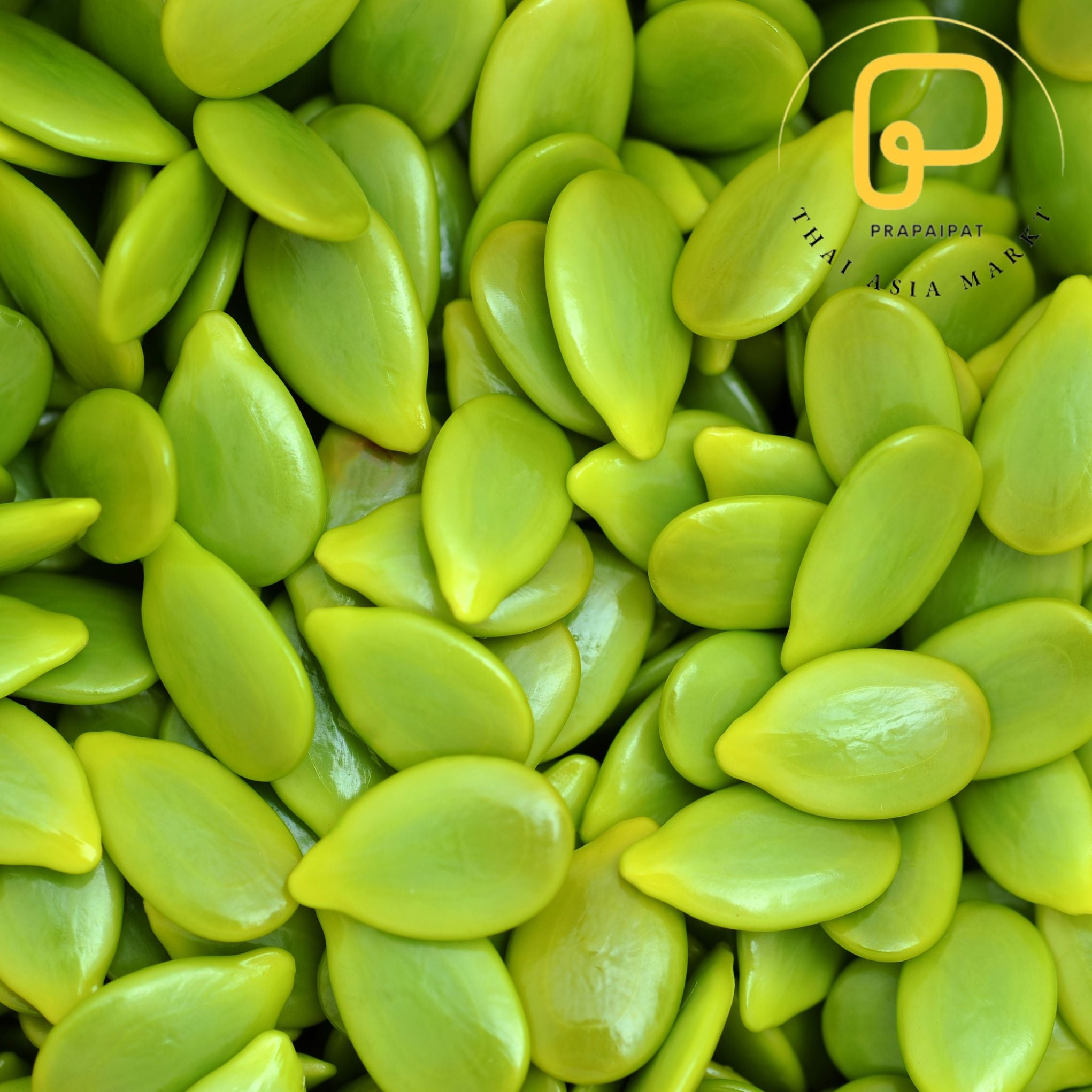 Pakatin Seed 100 g เม็ดกระถินแกะ