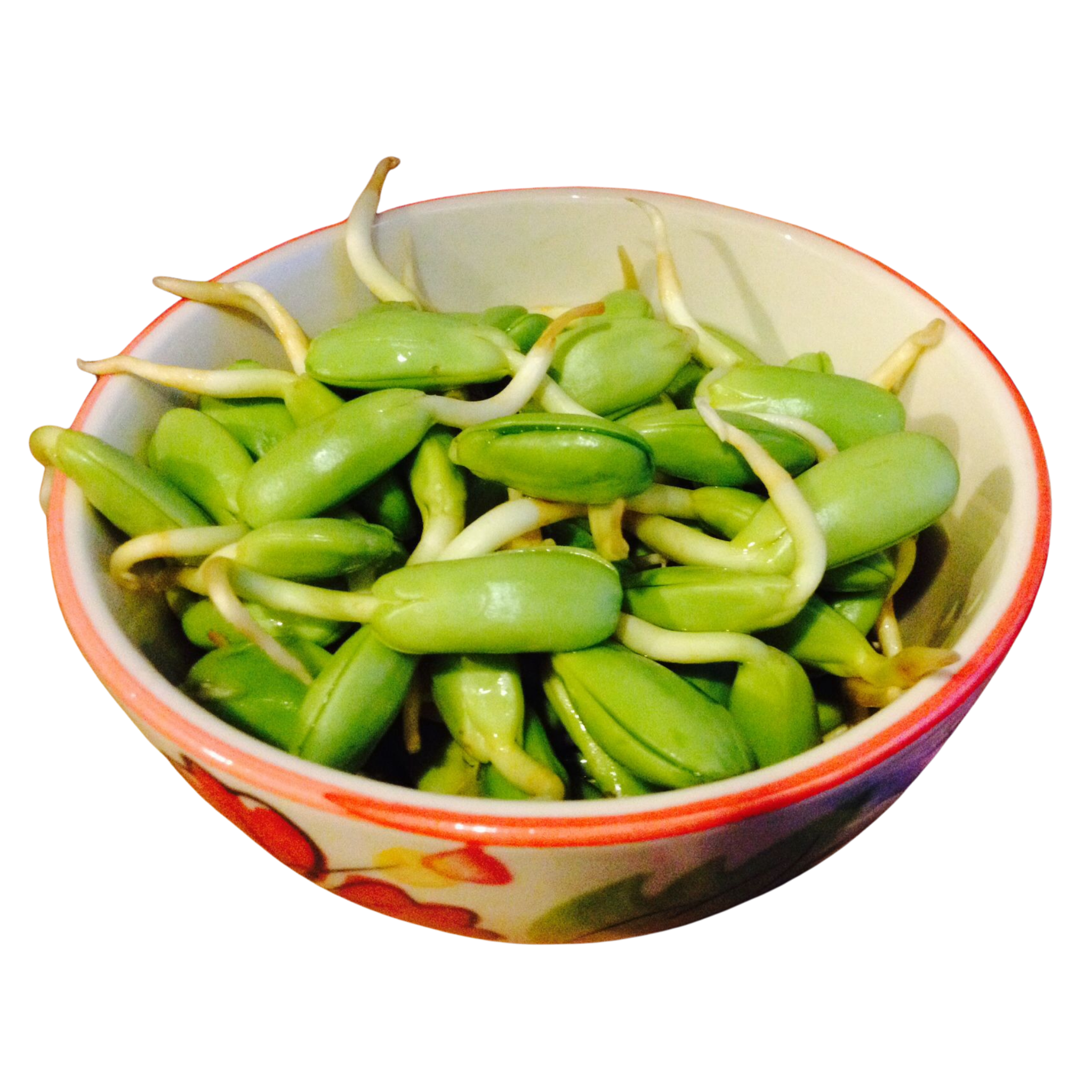 Parkia timoriana ลูกเหรียง หน่อเรียง 100 Gram