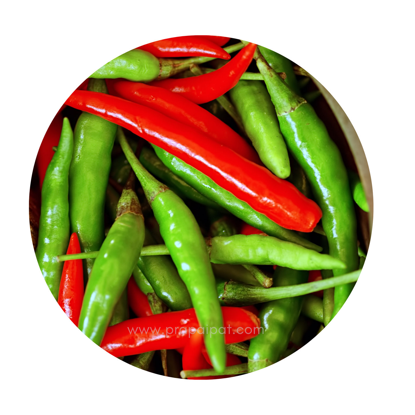 Thailändische frische Chilimischung Red Green Chilli พริกแดง เขียว จินดา ไทย 100 gram