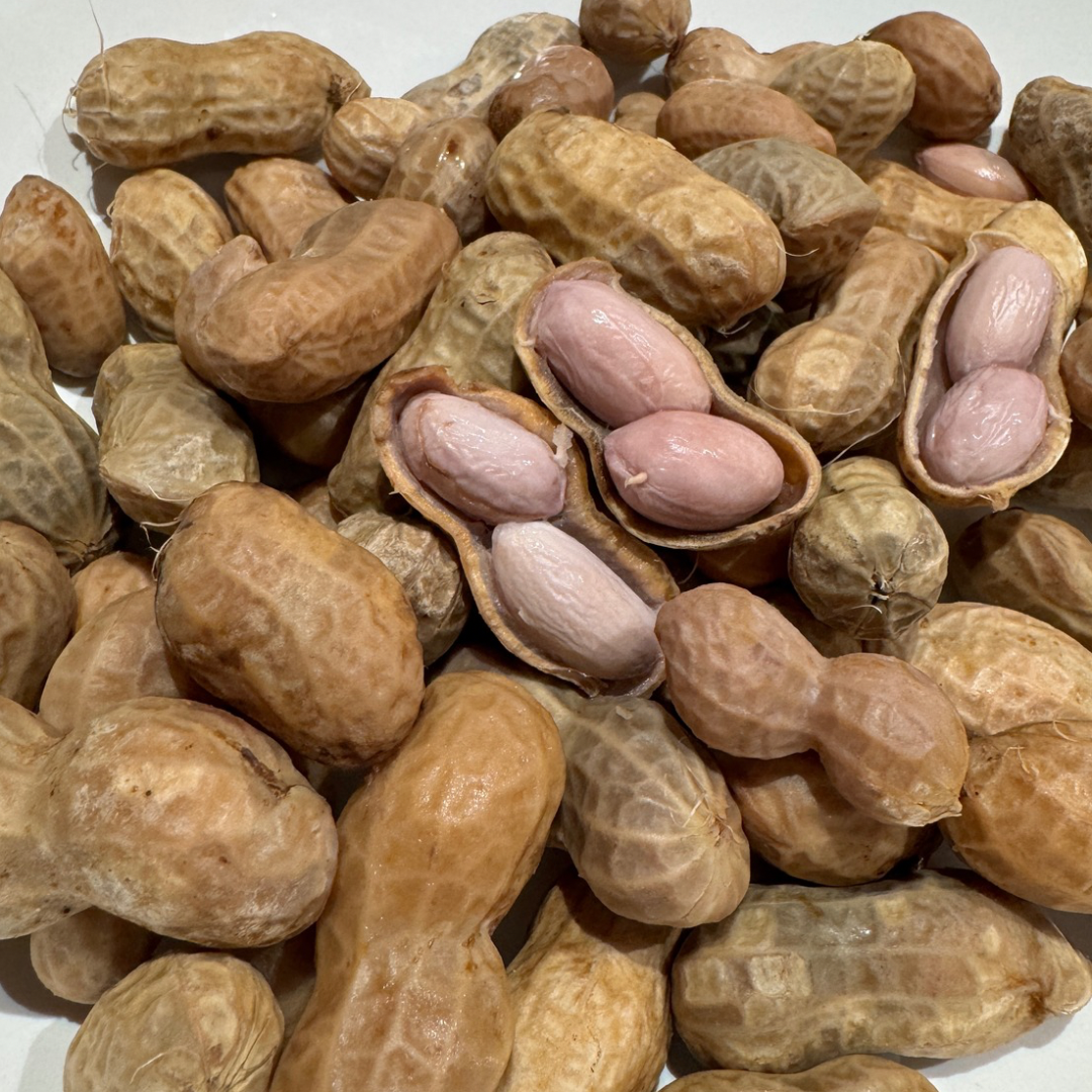 ASIAN CHOICE  Salted Boiled Peanuts 454 Gram ถั่วต้ม ถั่วลิสงต้ม