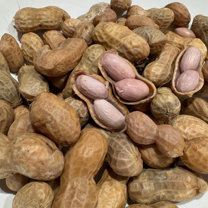 ASIAN CHOICE  Salted Boiled Peanuts 454 Gram ถั่วต้ม ถั่วลิสงต้ม