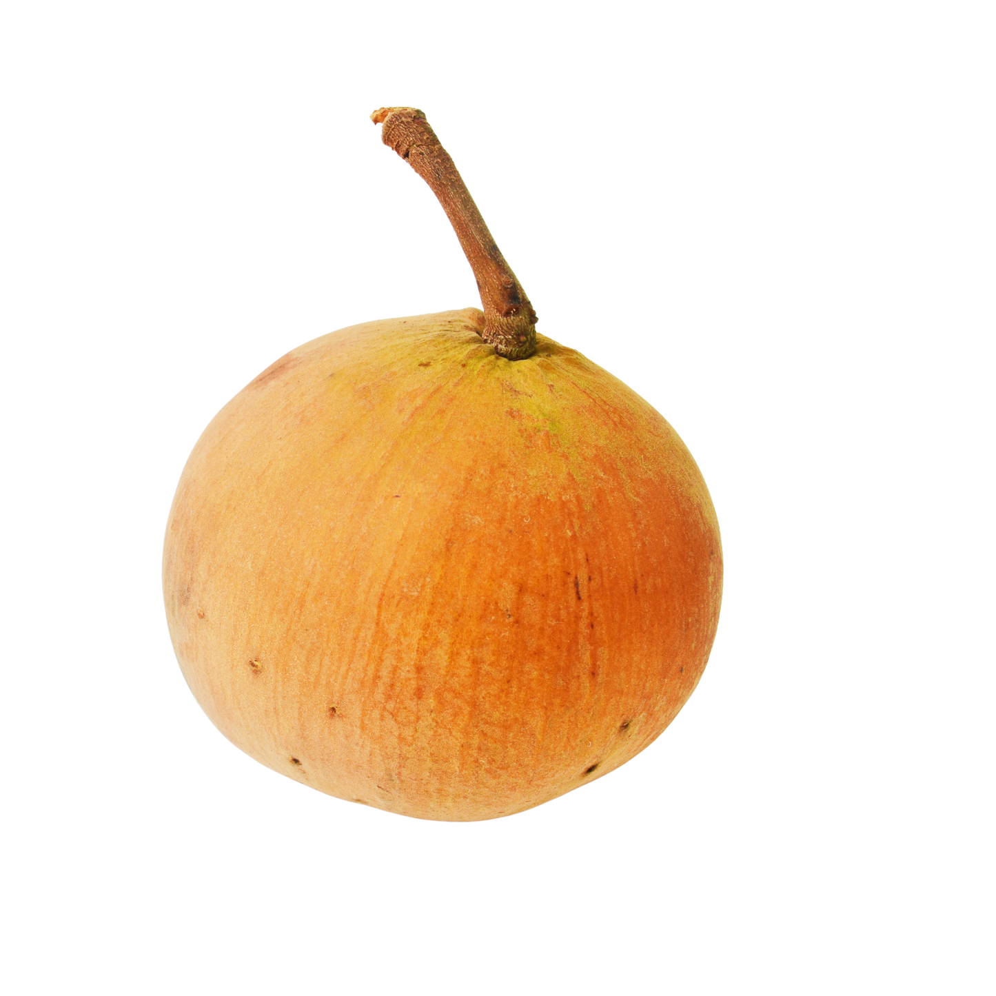 Santol กระท้อน 300-400 กรัม