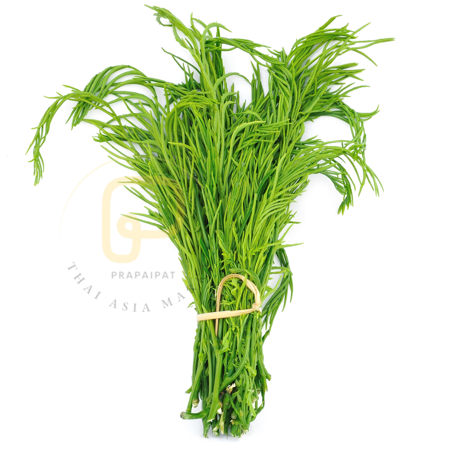 Acacia Leaf ชะอม 100 grams