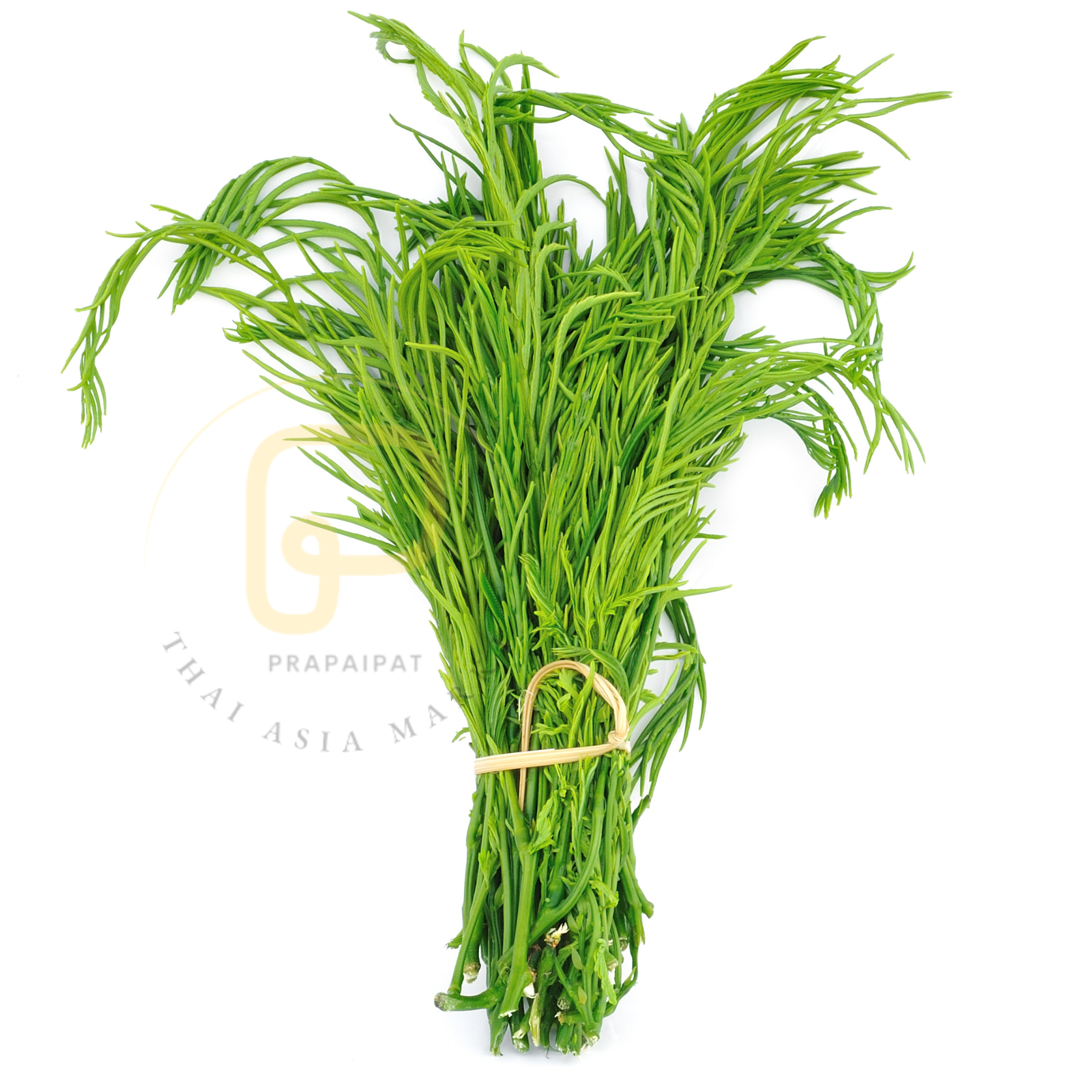 Acacia Leaf ชะอม 100 gram