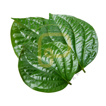 Cha Plu Leaves 100 grams ใบชะพลู