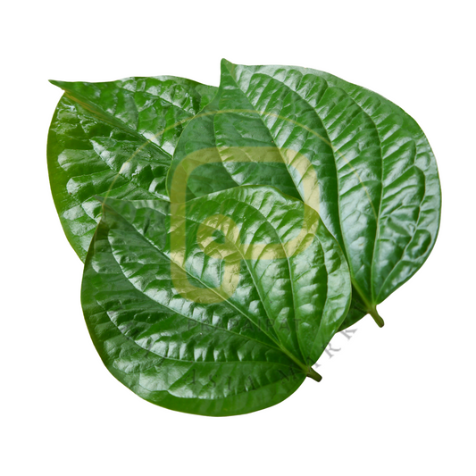 Cha Plu Leaves 100 grams ใบชะพลู