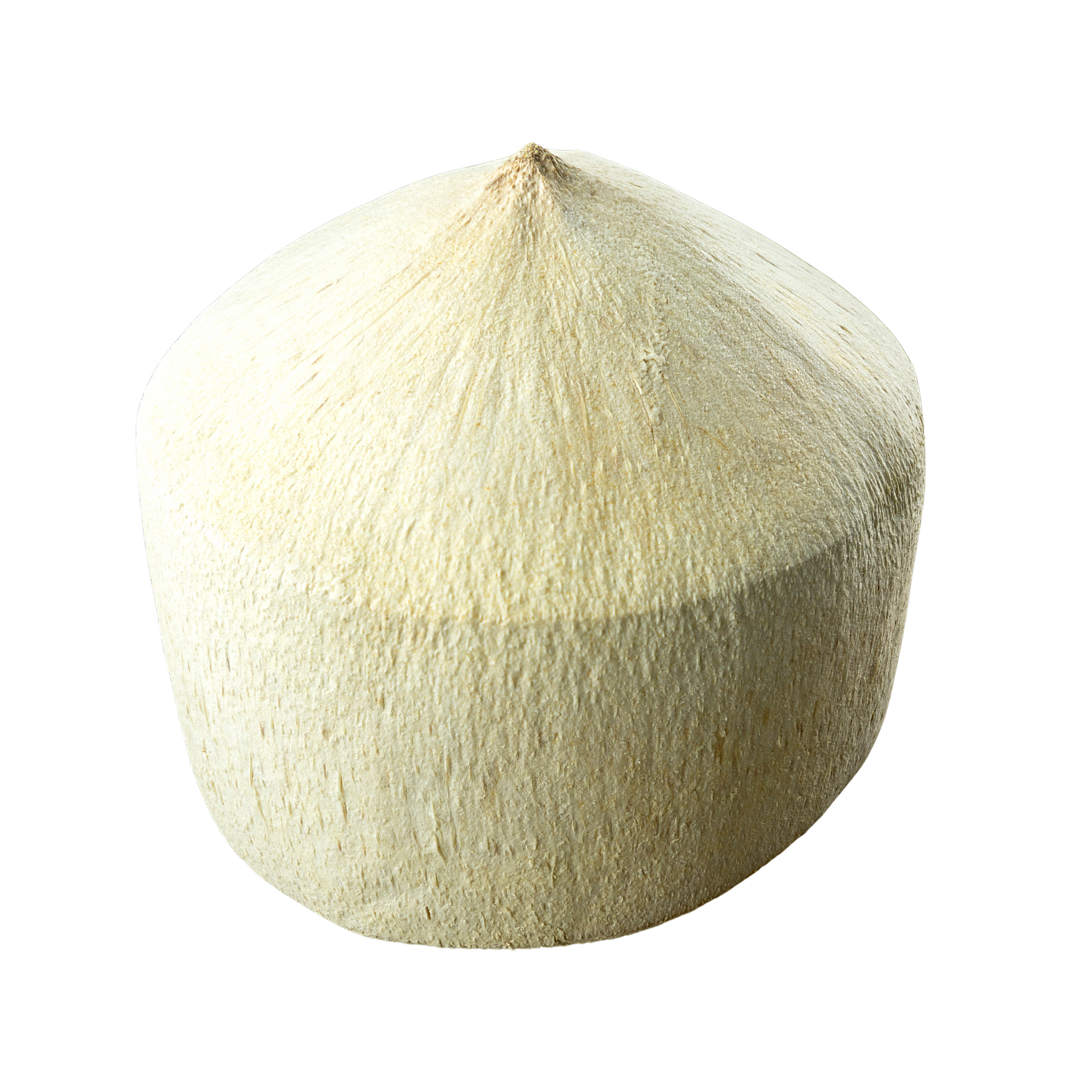 Fress Young Coconut มะพร้าว สด 1 pc