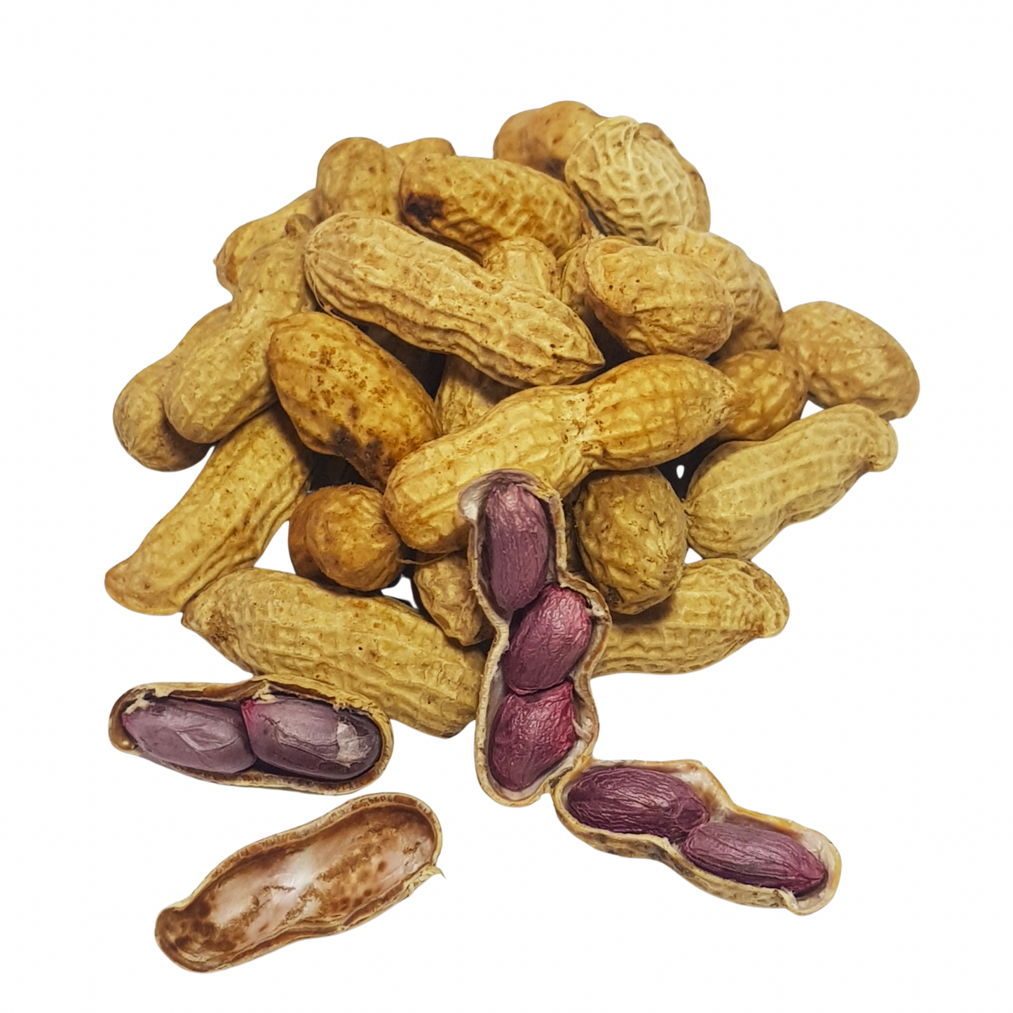 Gekochte frische Erdnüsse 200 g ถั่วลิสงสด ต้ม