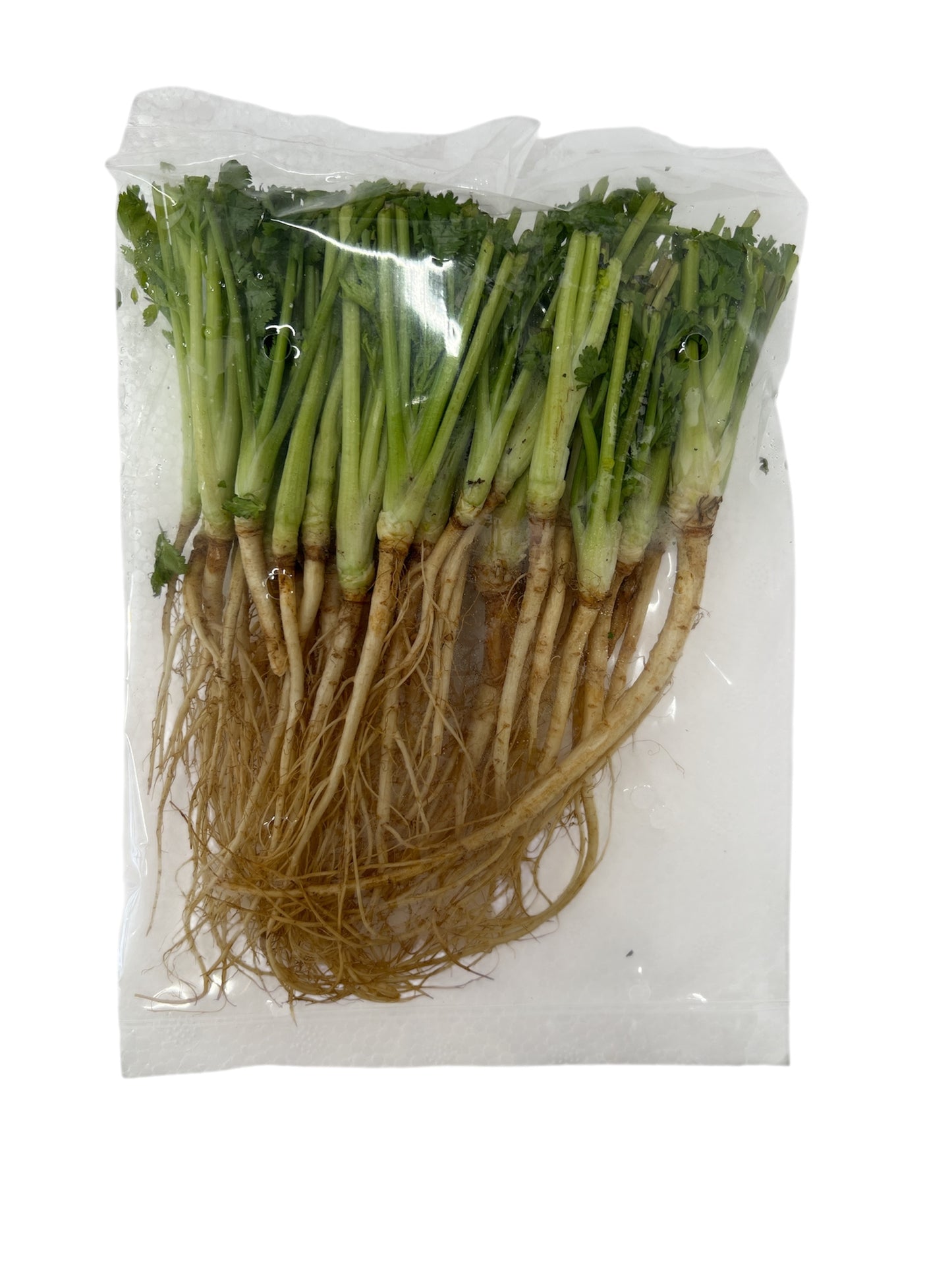 Thai Coriander "ONLY ROOT" รากผักชีไทย 100 กรัม