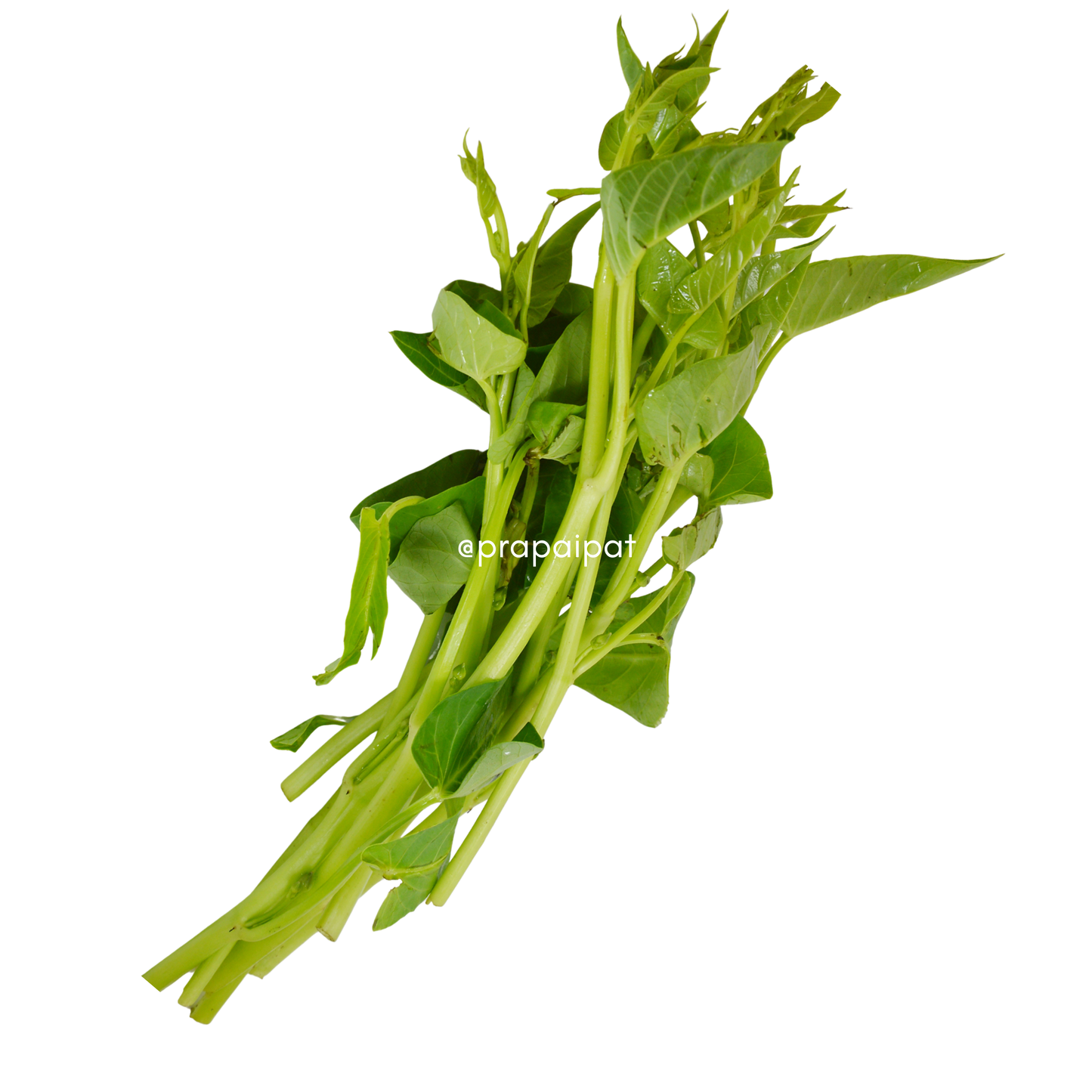 Thai Morning Glory 200 g