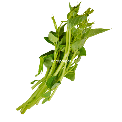Thai Morning Glory 200 g
