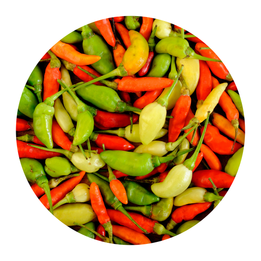 Karen-Chili Scharf พริกกะเหรี่ยง 100 g