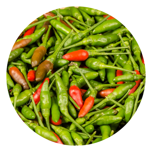 Vogelaugen-Chilli Scharf พริกขี้หนู 100 กรัม