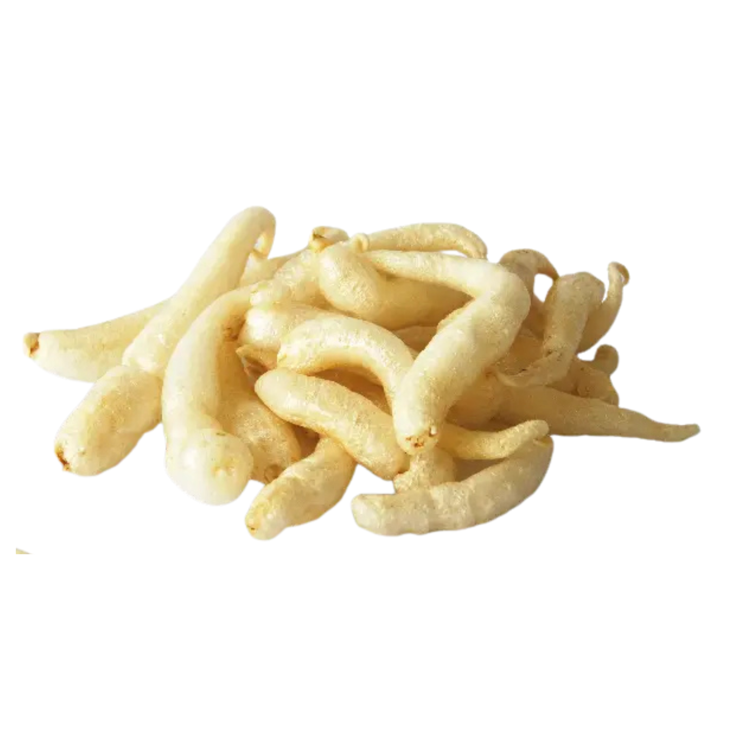 Getrockneter Fischmagen กระเพาะปลาแห้ง อย่างดี 100g