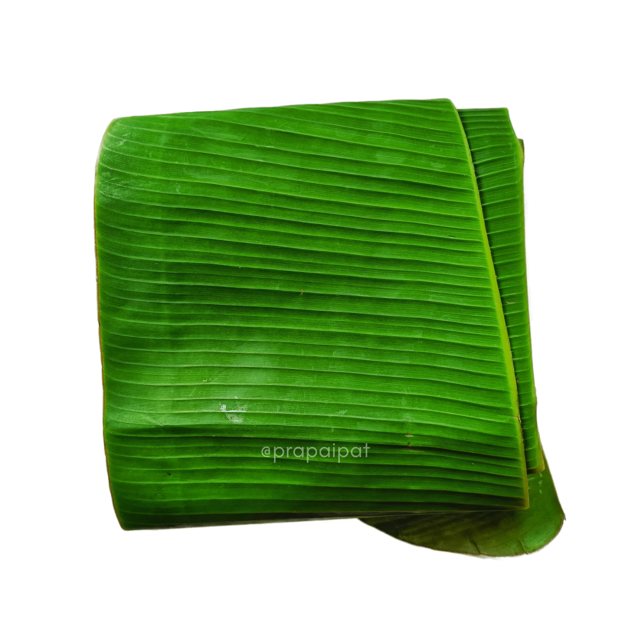 Thai Fresh Banana Leaves ใบตองสด 200g