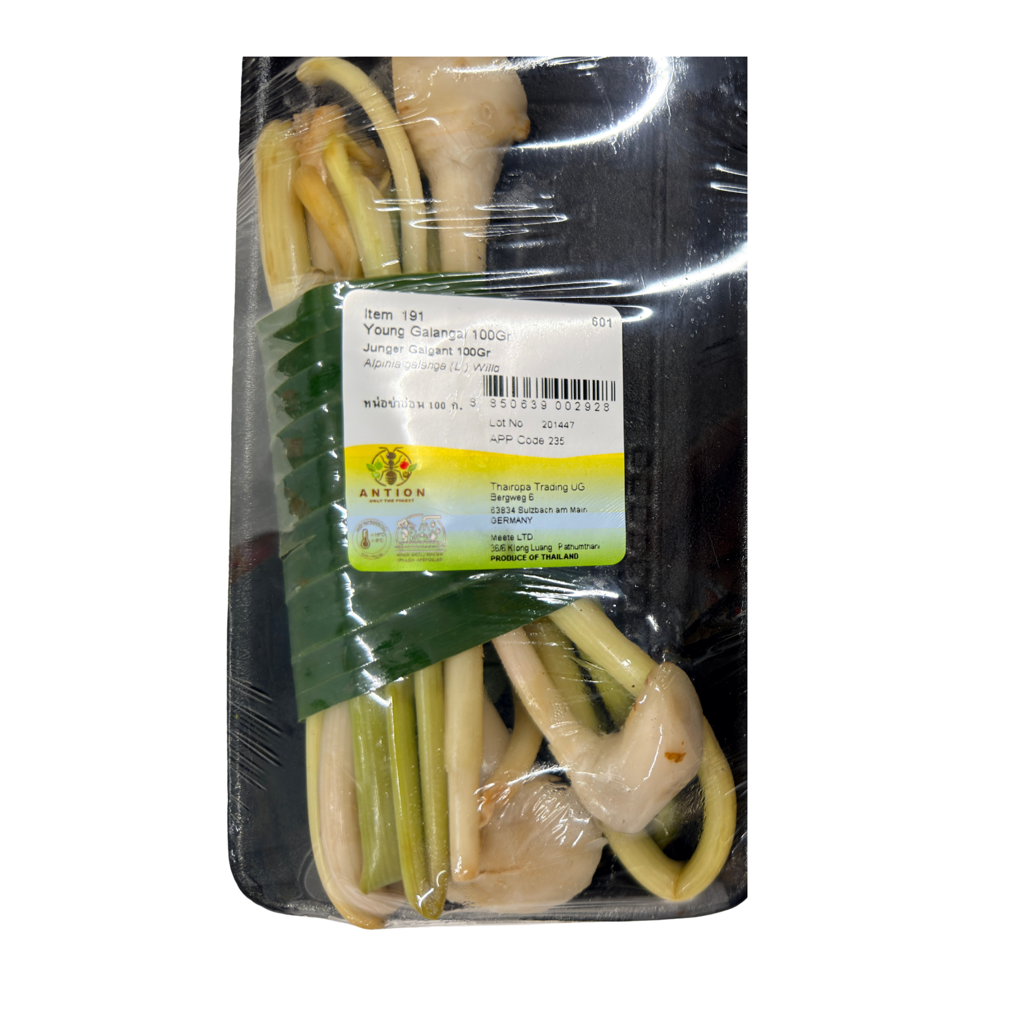 Young Galanga หน่อข่าอ่อน 100 g