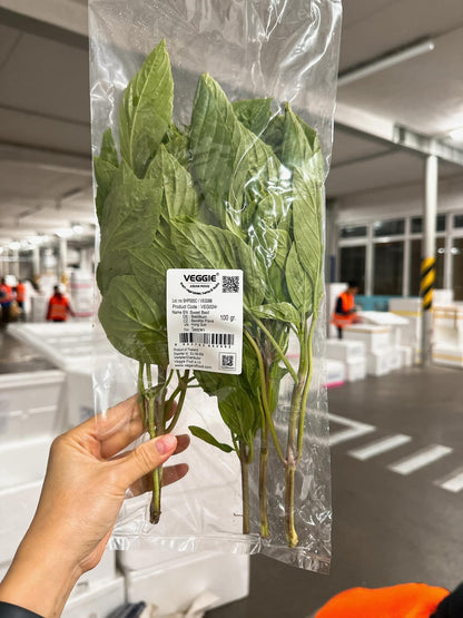 Sweet Basil Holapa / Basilikumblätter 100 g (Kühlware) โหระพา