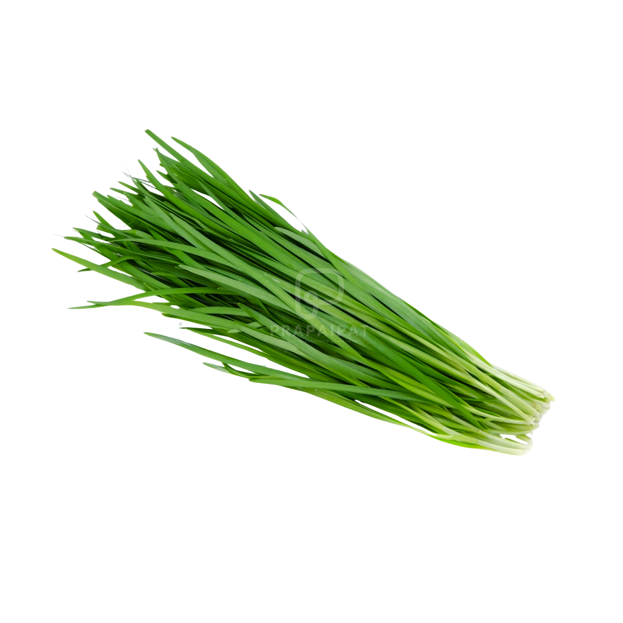 Chinese Chives ใบกุยฉ่าย 100g