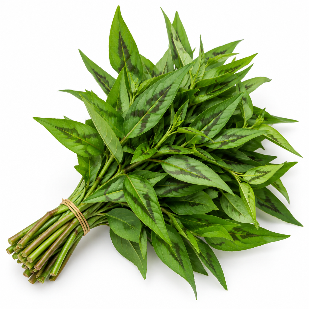PAK PRAWE/ VIETNAMES CORIANDER 100g